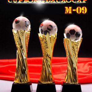 Cúp bóng đá pha lê M-09