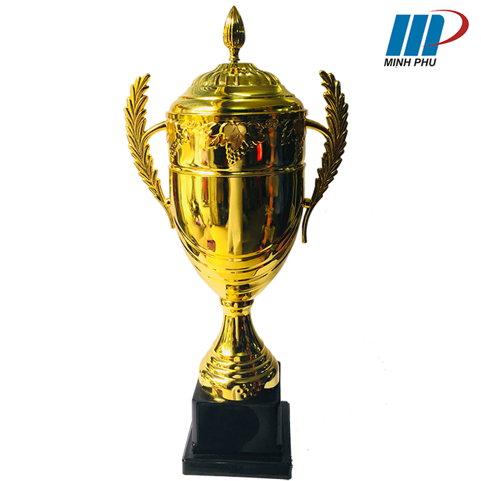 Cup thể thao cao cấp 800A
